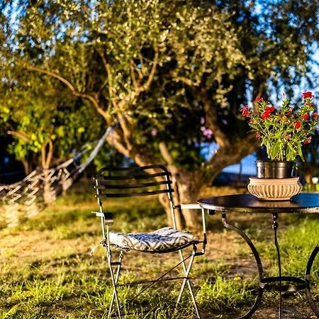Kitries Summer Getaway - Eden Seaside Suite Kitriaí Dış mekan fotoğraf